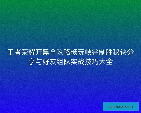 王者荣耀开黑全攻略畅玩峡谷制胜秘诀分享与好友组队实战技巧大全